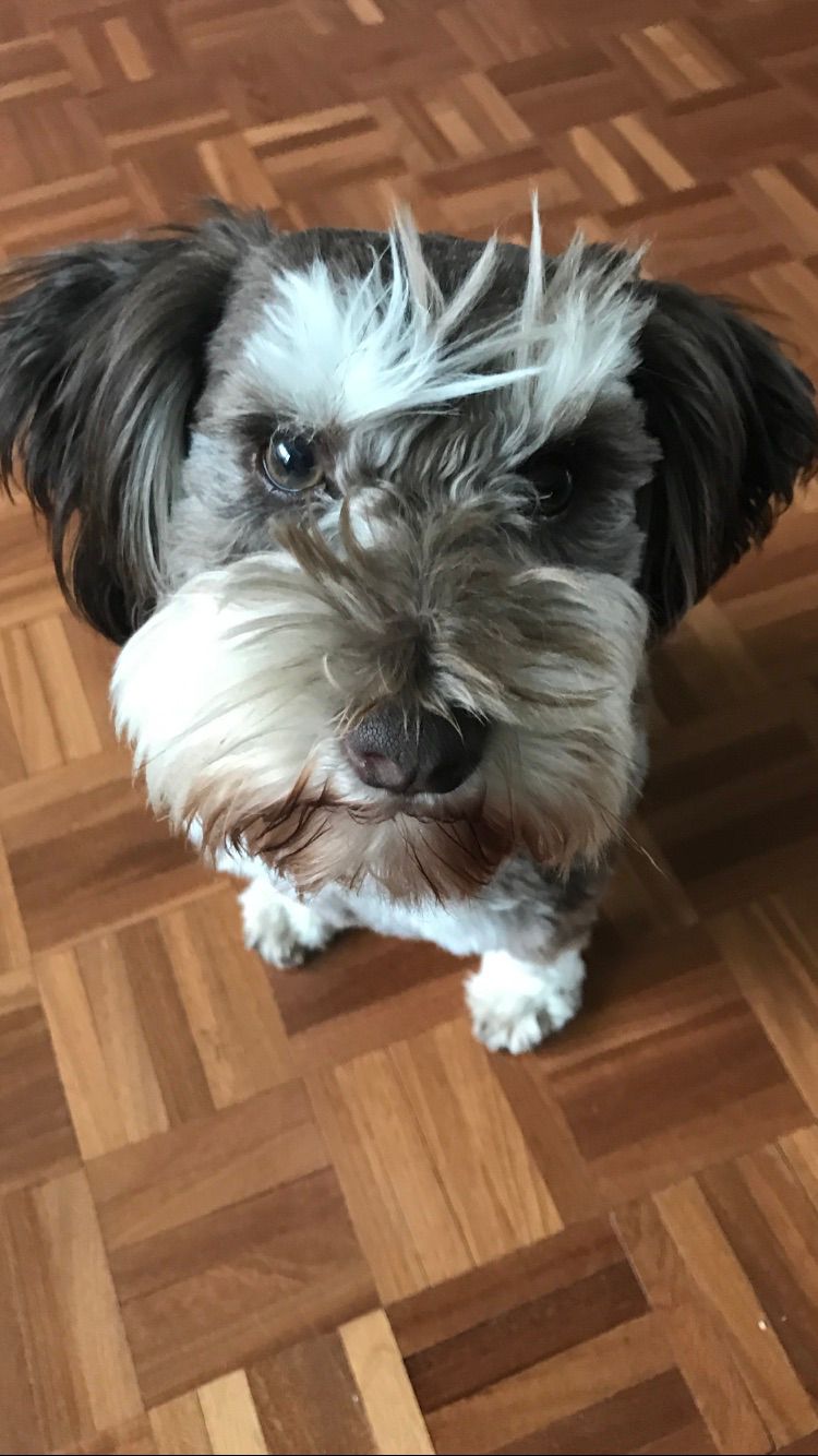 Rolo-closeup