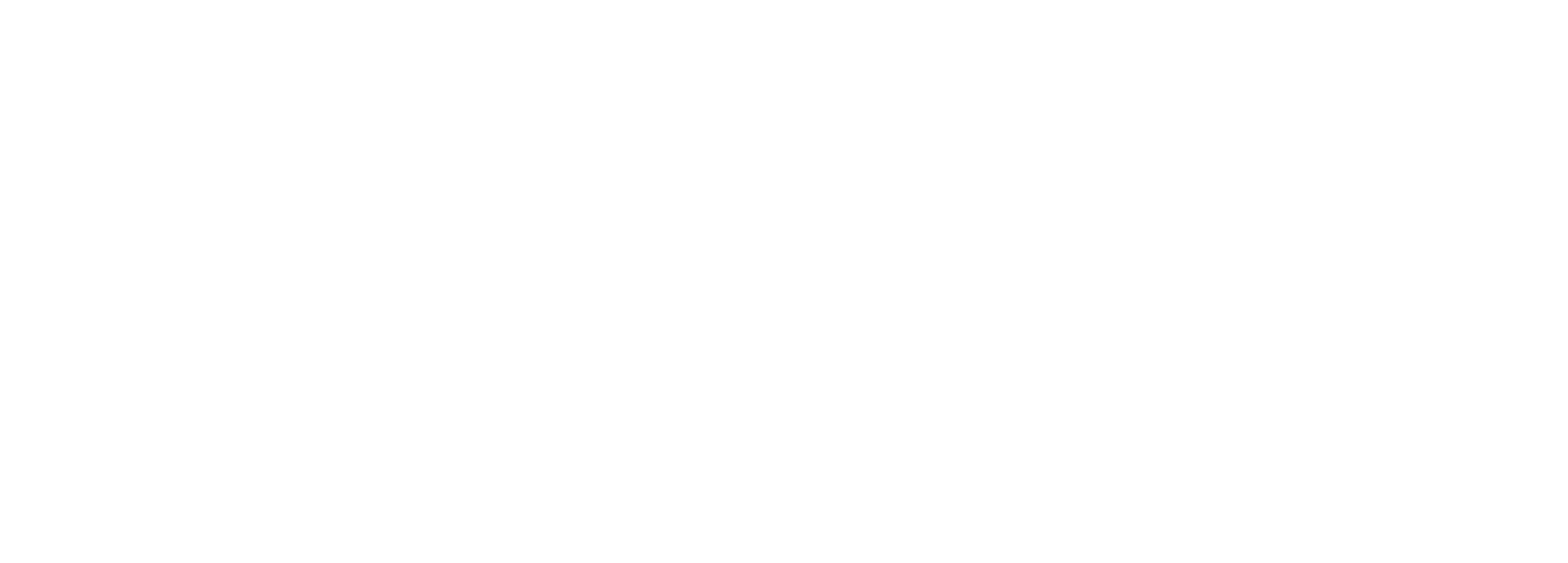 Schnauzer Snug